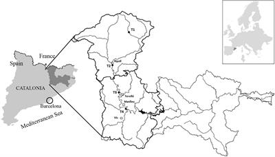 Driving Factors of Geosmin Appearance in a Mediterranean River Basin: The Ter River Case